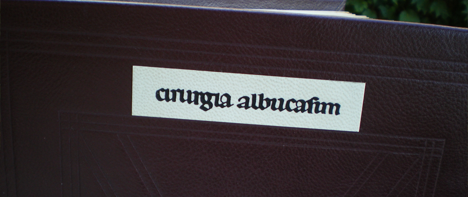 cirugia