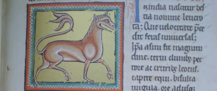 libro antiguo bestiario