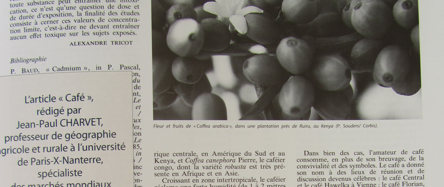 foto iuniversalis